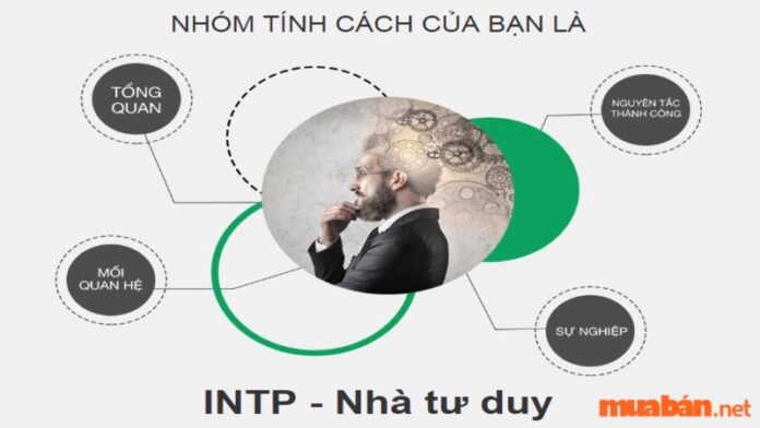 INTP là gì