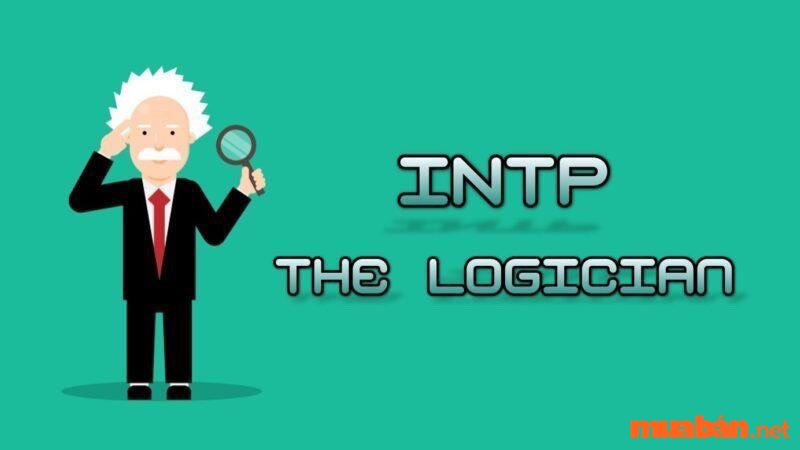 INTP là gì? INTP được gọi là những “thiên tài lập dị”