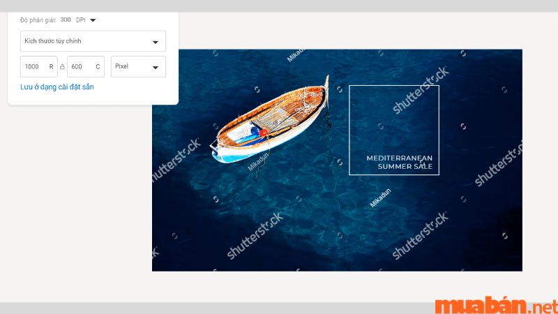 Đặc điểm hình ảnh trên Shutterstock