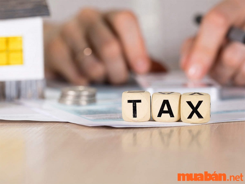 Các trường hợp phải đóng thuế trong kinh doanh là gì?