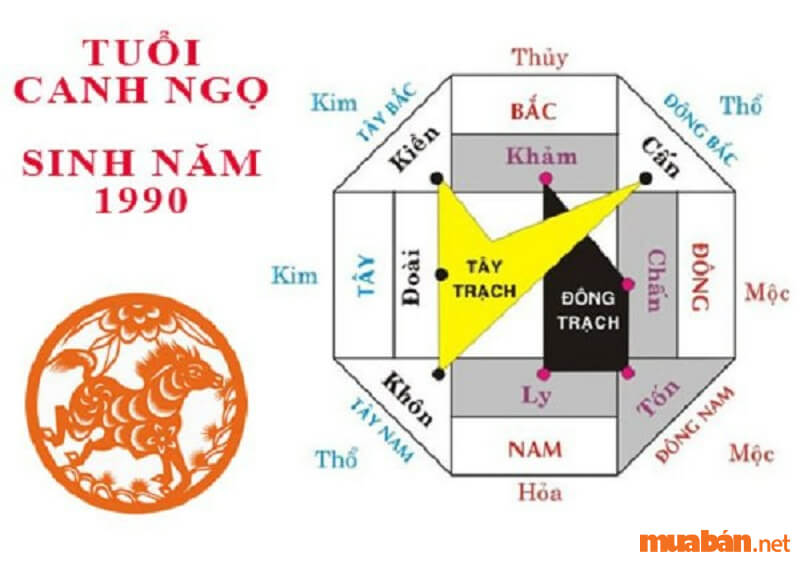 Tuổi Canh Ngọ hợp hướng nào?