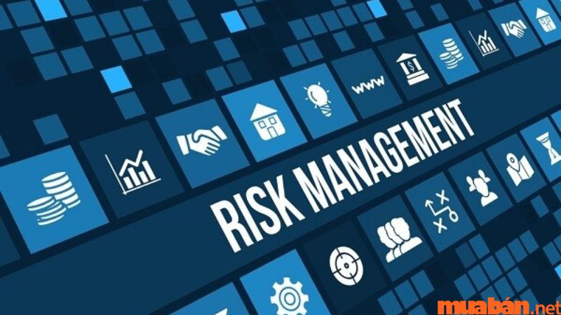 Vai trò tư vấn hoạt động quản trị rủi ro của Core banking