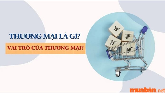 Tìm hiểu về thương mại quốc tế