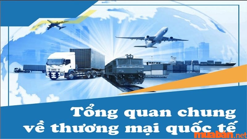 Thương mại quốc tế là gì? Ngành thương mại quốc tế học ở đâu