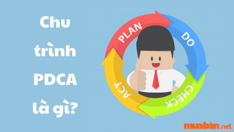 PDCA là gì? Khái niệm, lợi ích và cách áp dụng chu trình PDCA trong hệ thống quản lý chất lượng của doanh nghiệp