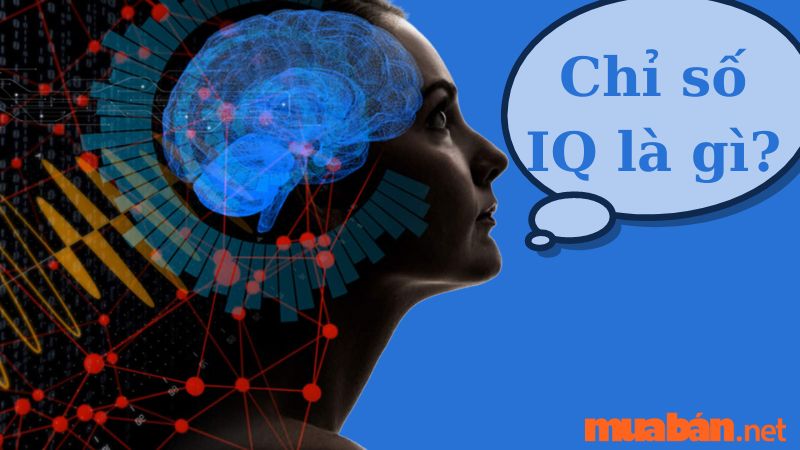 Chỉ số IQ là gì?