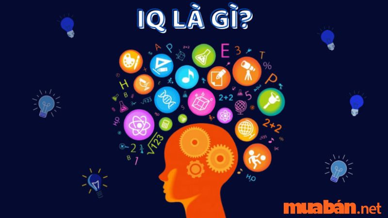 Chỉ số thông minh (IQ)
