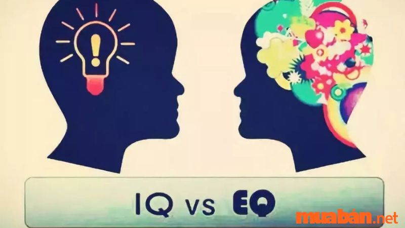 Sự khác nhau giữ chỉ số EQ và IQ là gì?