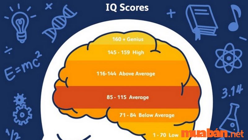 Cách kiểm tra và đo lường chỉ số IQ là gì?