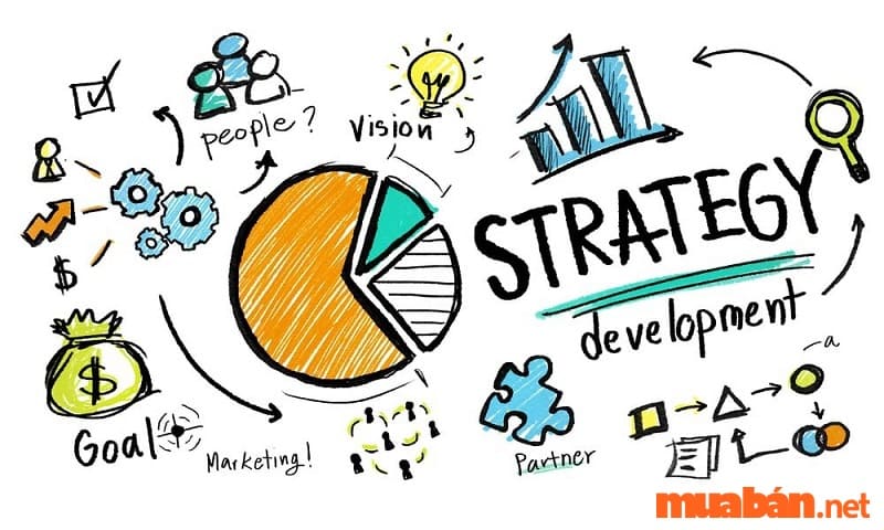 Strategy trong Case Study là gì?