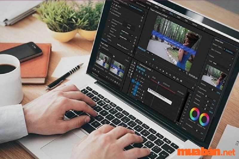 Ý nghĩa của việc tạo video trong Case Study là gì?