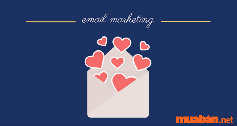 Email Marketing có sử dụng Case Study là gì?