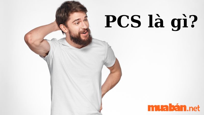 PCS là gì?
