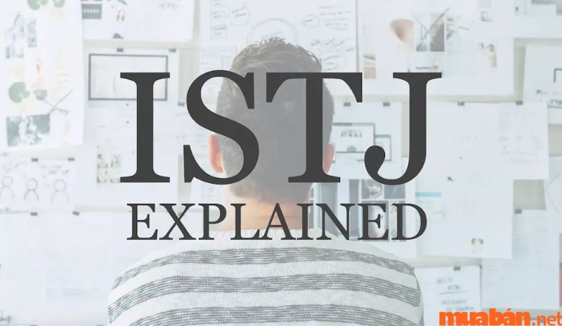 ISTJ là gì? ISTJ được xem là 1 nhóm tính cách trong 16 tính cách mà MBTI đặt ra