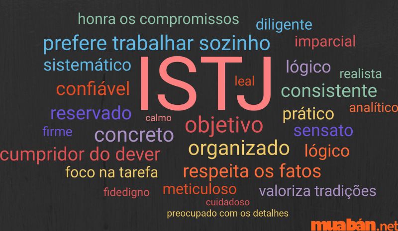 ISTJ là gì và những điểm mạnh và điểm yếu của nhóm tính cách này