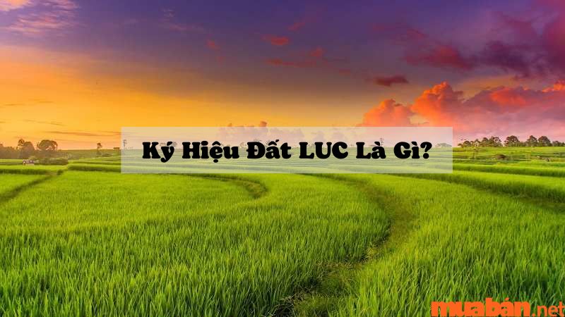 Thông tin cần biết về đất LUC là gì?