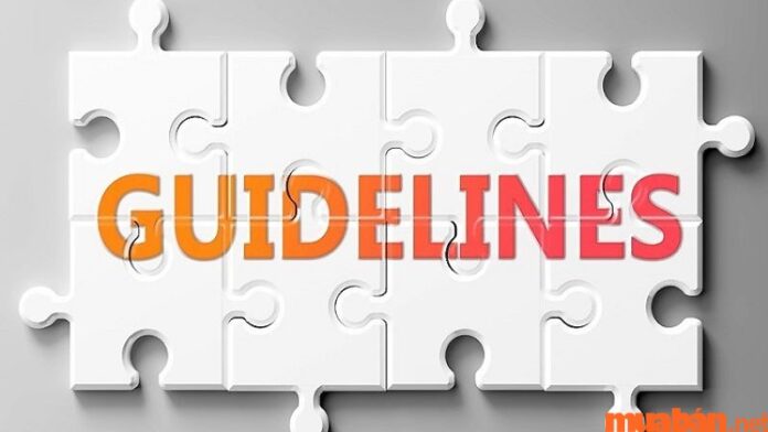 Guideline là gì? Vai trò và cấu trúc cơ bản trong guideline