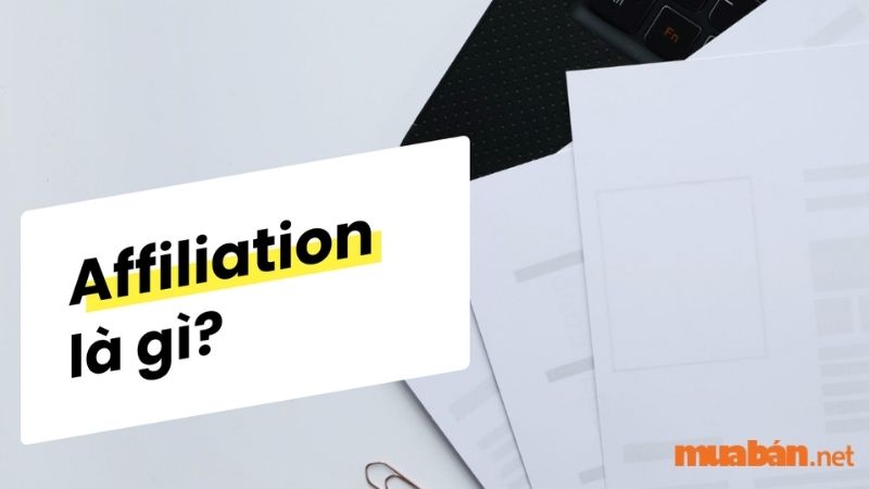 Affiliation là thuật ngữ tiếng Anh có nghĩa chỉ sự “liên kết”, nhưng trong CV xin việc thì Affiliation lại mang ý nghĩa của sự “liên kết chuyên nghiệp” hoặc là một danh sách bao gồm các tổ chức chuyên nghiệp. 