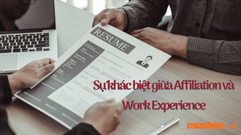 Về cơ bản, Affiliation và Work Experience đều có liên quan đến mục kinh nghiệm làm việc nhưng bản chất của chúng lại hoàn toàn khác nhau