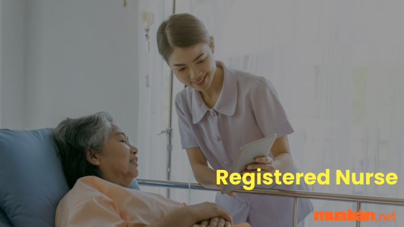 Registered Nurse là gì? Tìm hiểu chi tiết về ngành Registered Nurse