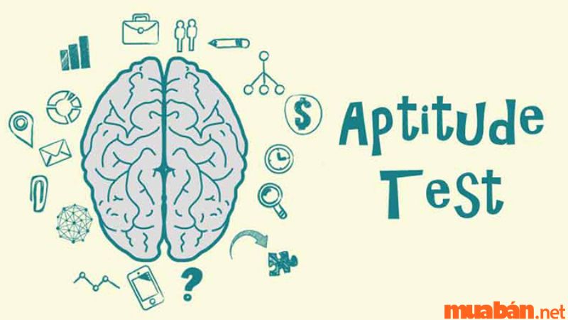 Aptitude test là gì?