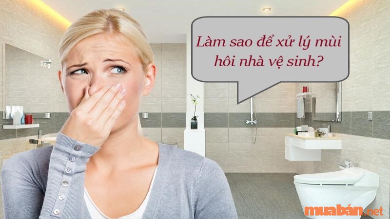 Làm cách nào để xử lý mùi hôi nhà vệ sinh bốc lên?