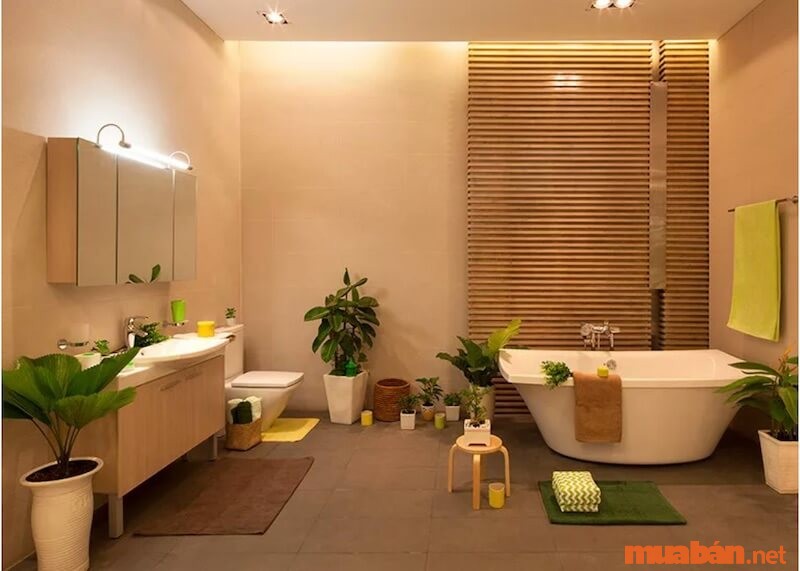 Trồng cây trong phòng tắm để hút mùi hôi và thanh lọc không khí.