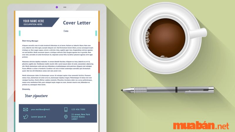 mẫu Cover Letter tiếng Anh 
