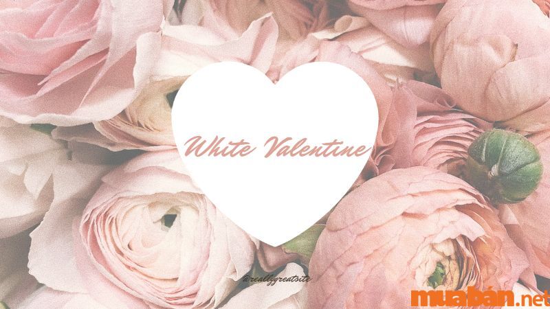 Valentine trắng là ngày gì? Ý nghĩa của ngày Valentine trắng ít ai biết