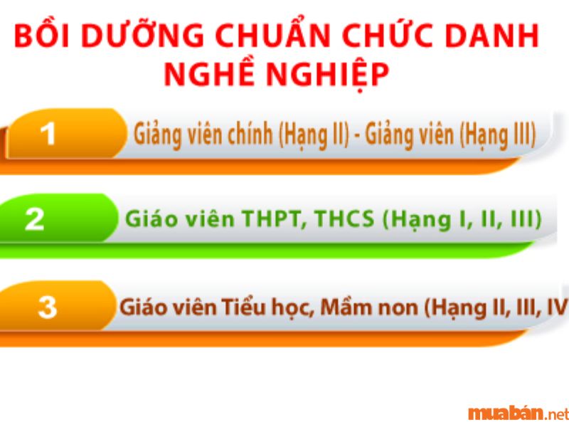 Tiêu chuẩn của chức danh nghề nghiệp