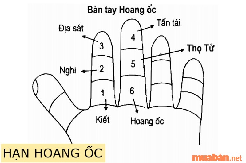 Lựa chọn tuổi 1975 làm nhà năm nào đẹp nhất để thoát khỏi hạn Hoàng Ốc xấu?