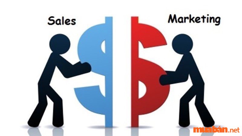 Sales Marketing là gì?