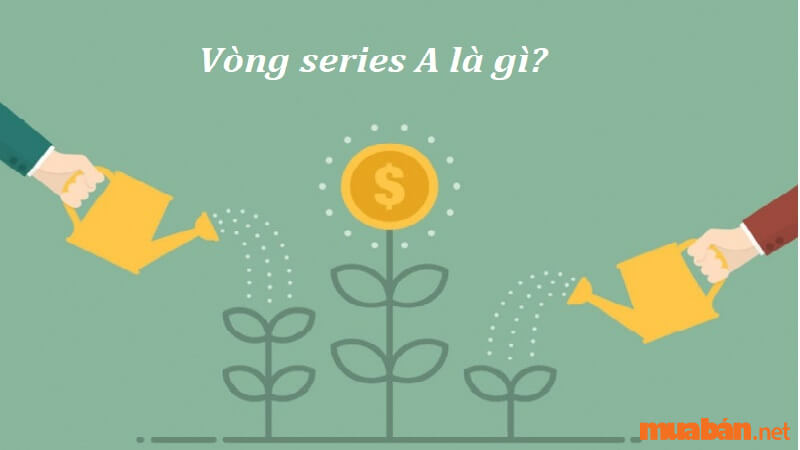 Vòng Series A là gì? 