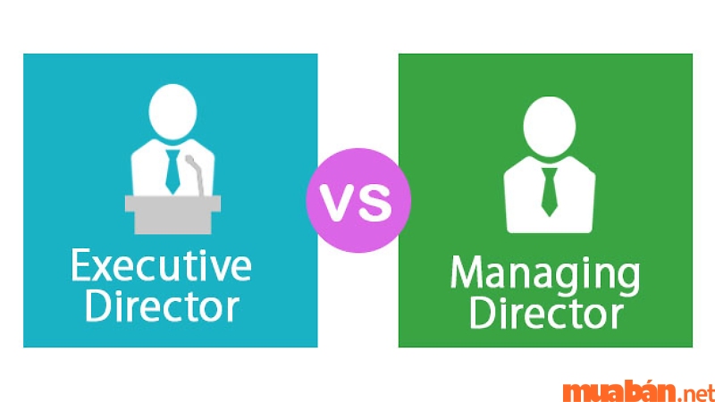 Sự khác biệt giữa CEO và Managing Director là gì?
