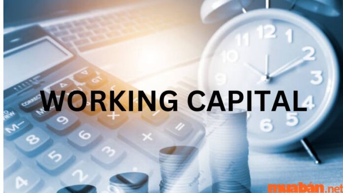 Working Capital Là Gì? Bí Quyết Vận Hành Trong Doanh Nghiệp