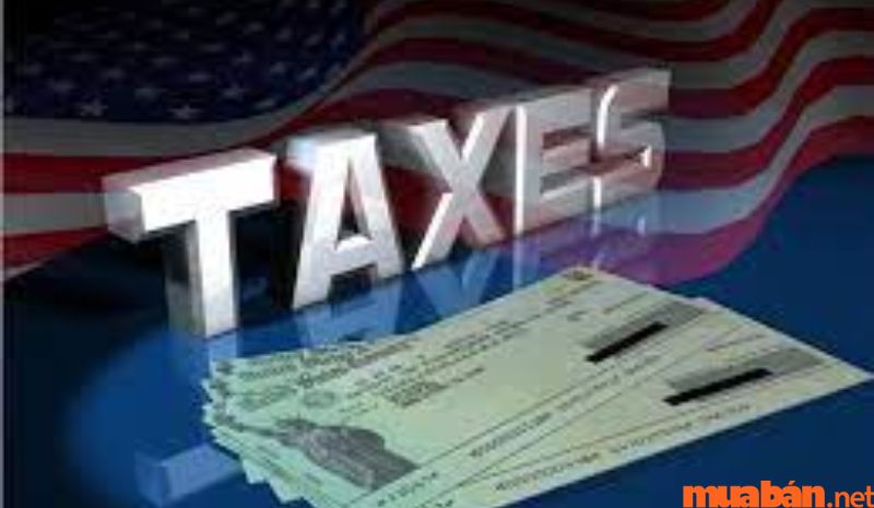 Tính thuế theo phương pháp tính tỷ lệ % - Thuế hải quan là gì ?