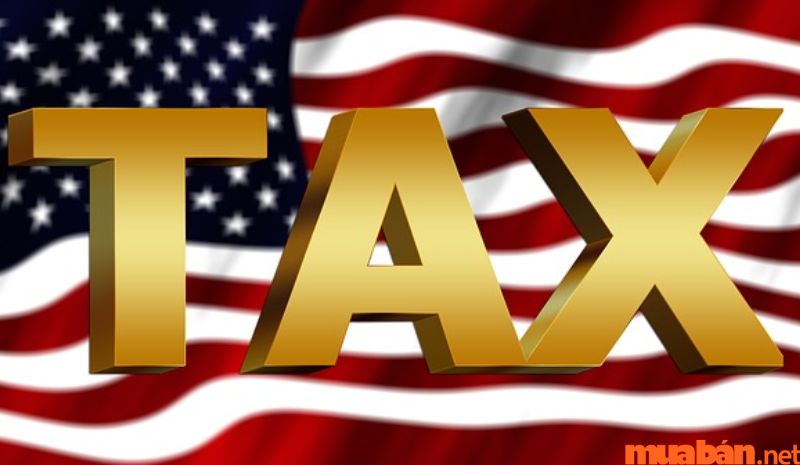 Tính thuế theo phương pháp thuế suất tuyệt đối - Thuế hải quan là gì ?