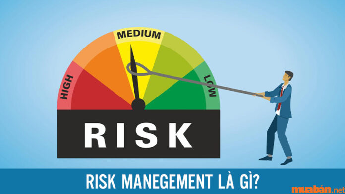 Risk Management là gì? Quy trình quản trị rủi ro trong tổ chức