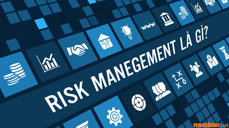 Risk Management là gì? Quy trình quản trị rủi ro trong tổ chức