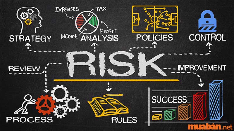 Risk Management là gì? Vai trò của quản trị rủi ro trong tổ chức