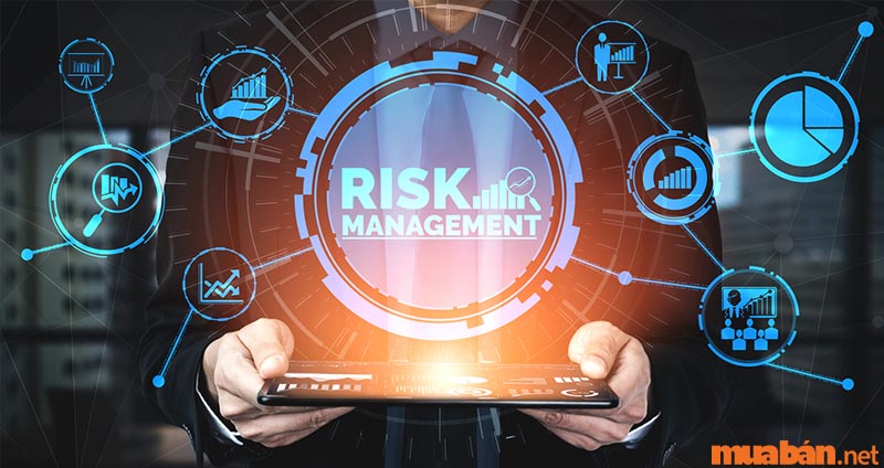 Risk Management là gì? Các loại rủi ro thường gặp