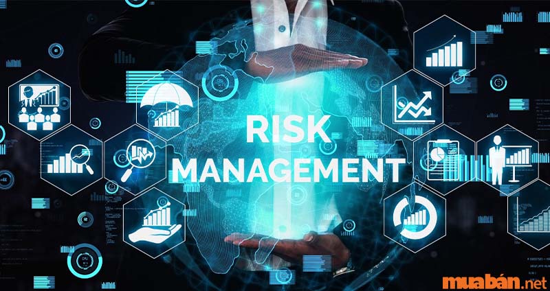 Risk Management là gì? Các loại rủi ro thường gặp