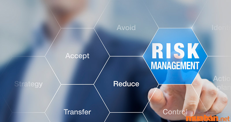 Risk Management là gì? Quy trình 7 bước quản trị rủi ro của doanh nghiệp 