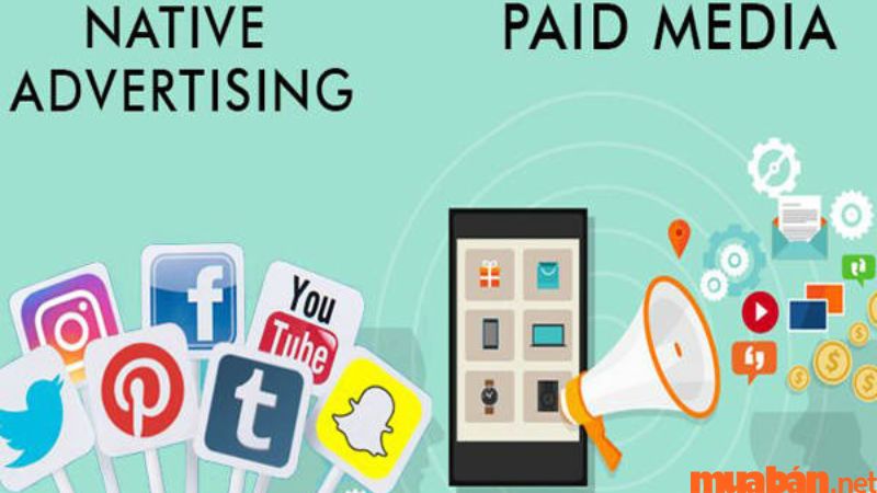 Tìm hiểu Paid Media là gì? Và các lợi ích khi sử dụng Paid Media là gì?