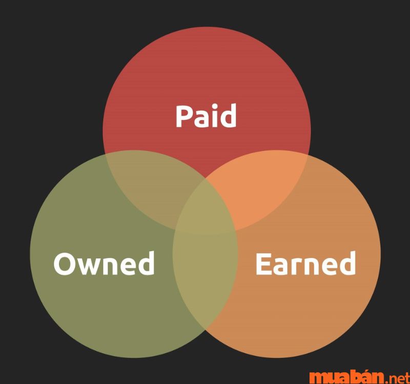 Sự khác nhau giữa Owned, Earned và Paid Media là gì?