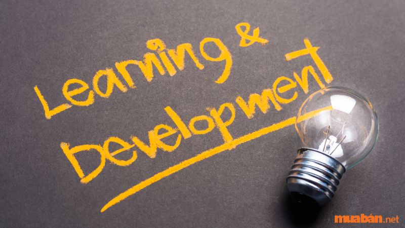 L&D (có tên tiếng anh là Learning & Development) nghĩa là đào tạo & phát triển. L&D là một phòng ban thuộc bộ phận nhân sự. Vai trò và nhiệm vụ của L&D cũng giống như cái tên của nó.