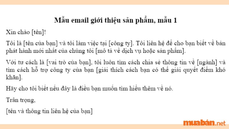 Email giới thiệu sản phẩm đến với khách hàng mới là dạng email bản tin, thông báo đến khách hàng những cập nhật mới nhất về sản phẩm. Đây là một trong những cách thức truyền tải thông tin nhanh nhất đến với khách hàng và có thể tiếp cận đến nhiều đối tượng khách hàng.