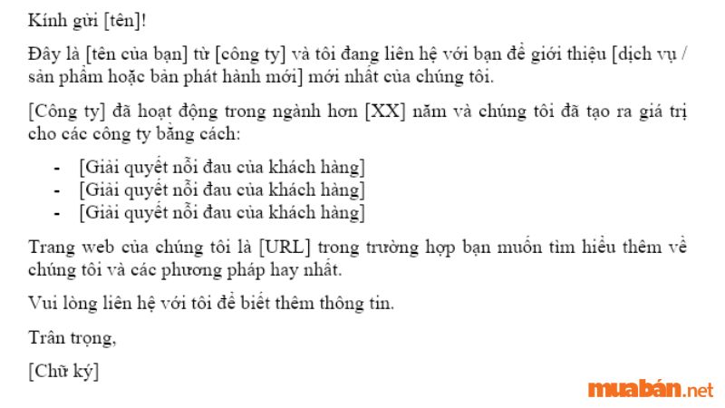 Một email giới thiệu sản phẩm chuẩn sẽ đề cập đến đầy đủ các nội dung về công ty, các thông tin như nguồn gốc, thành phần, tính năng của sản phẩm. 