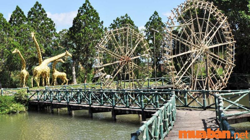 Pleiku có gì chơi - Công viên Đồng Xanh