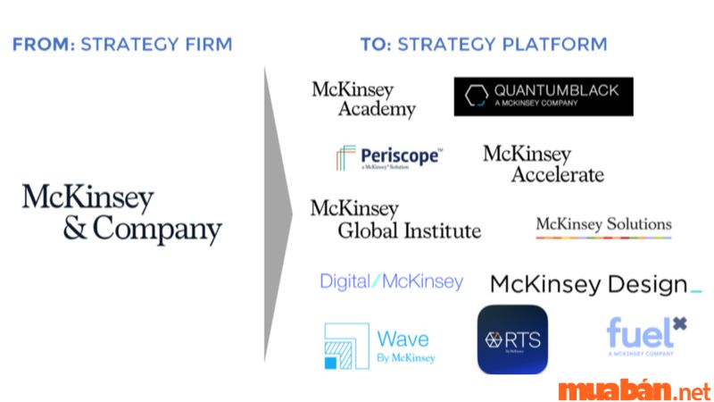 Các nền tảng của McKinsey